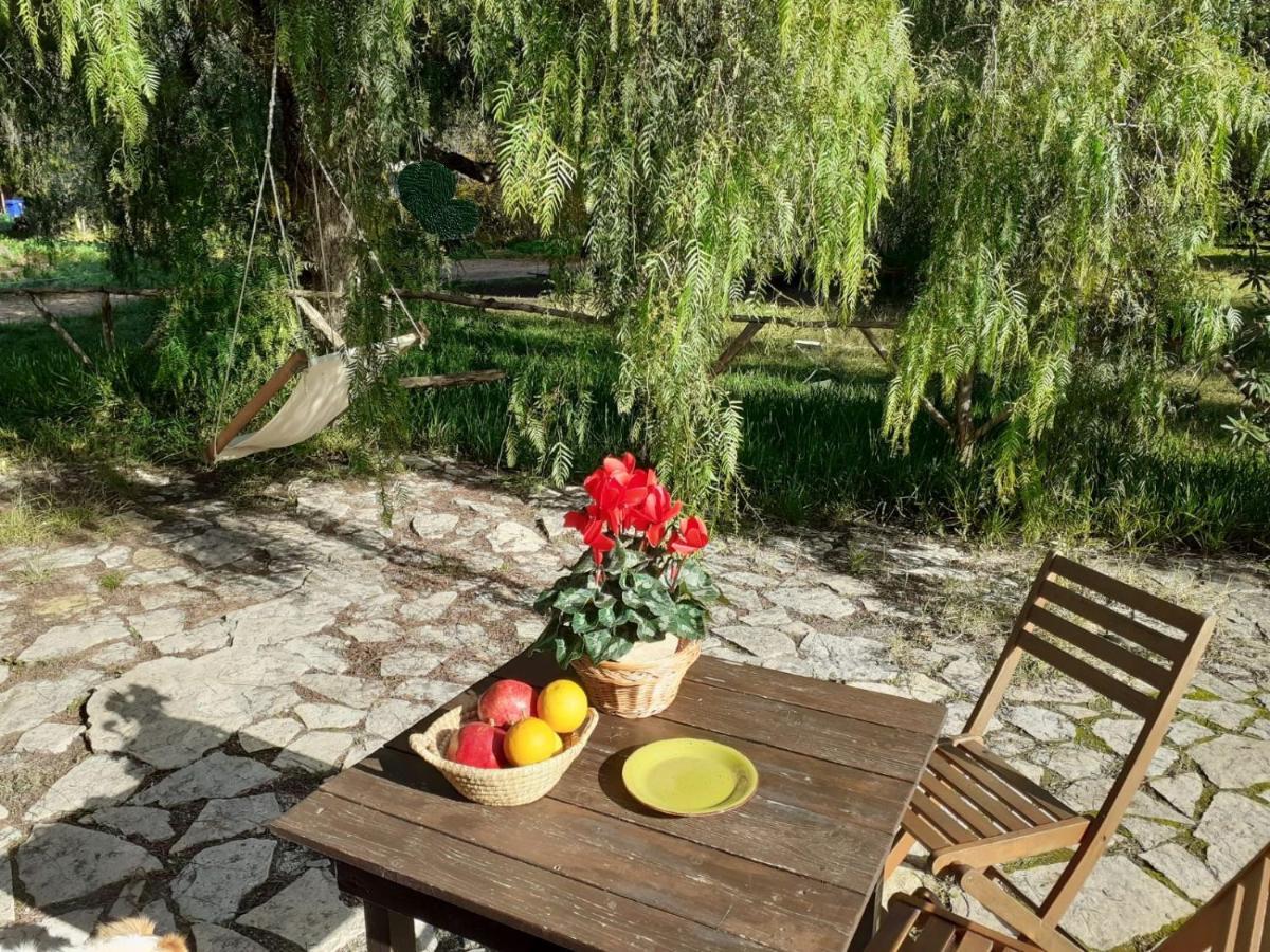 Agriturismo Terra Di Pace 노토 외부 사진