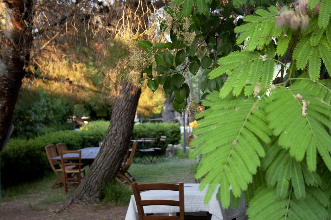 Agriturismo Terra Di Pace 노토 외부 사진