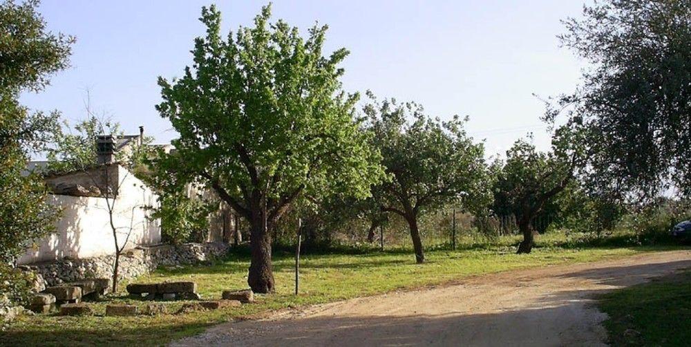 Agriturismo Terra Di Pace 노토 외부 사진